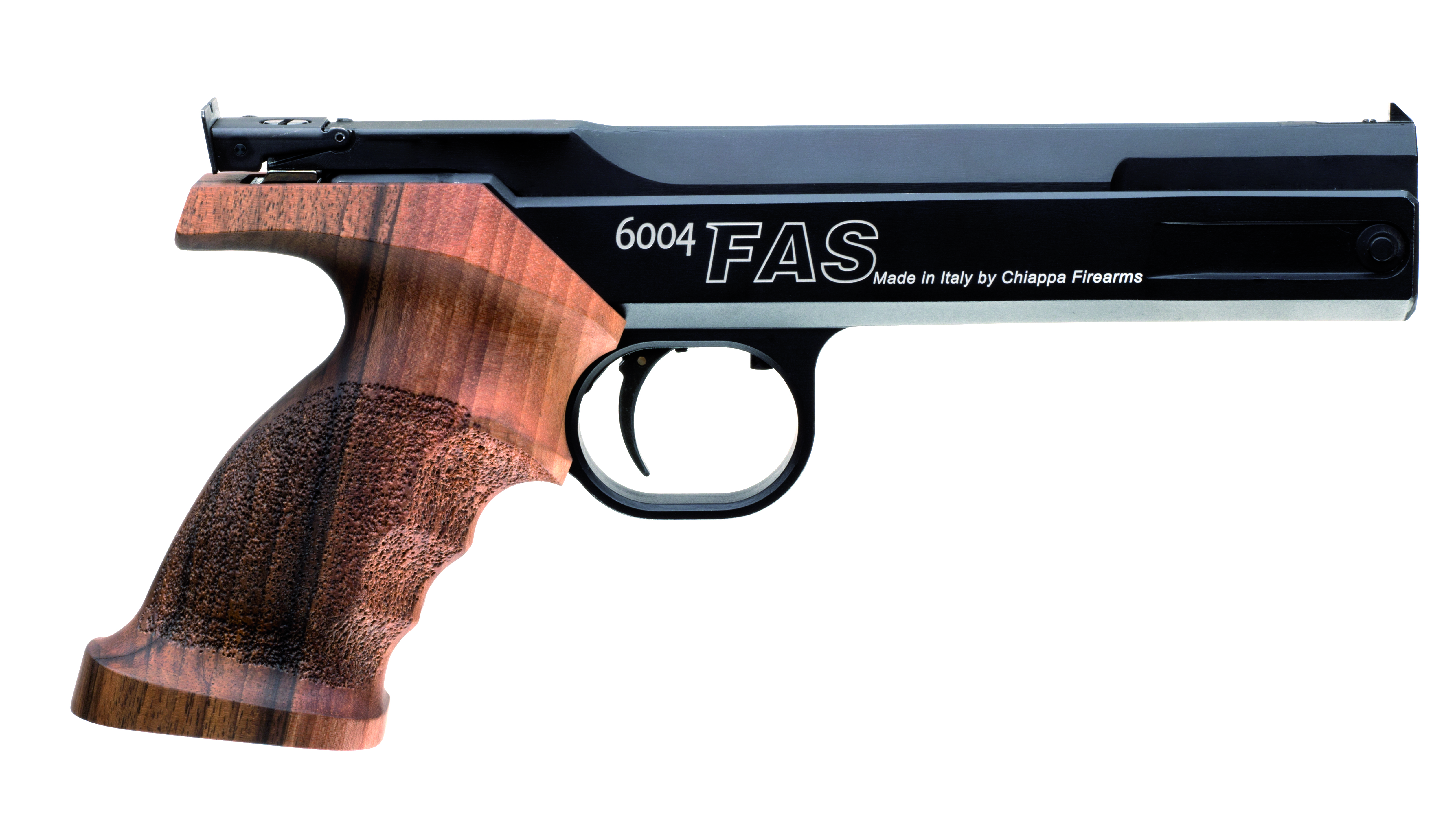 FAS 6004 Standard